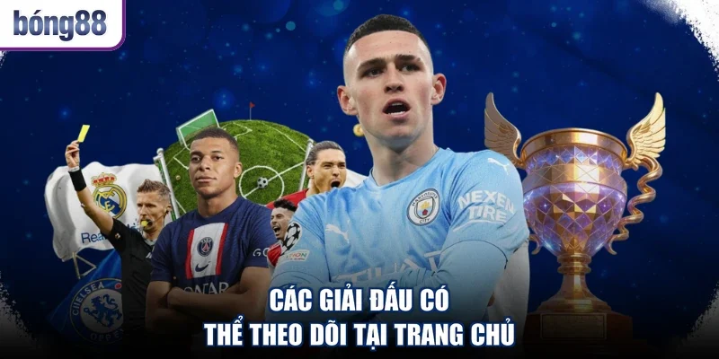 Các giải đấu có thể theo dõi tại trang chủ