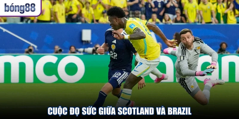 Cuộc đọ sức giữa Scotland và Brazil