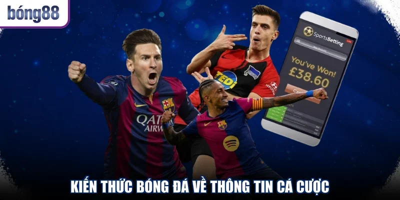 Kiến thức bóng đá về thông tin cá cược