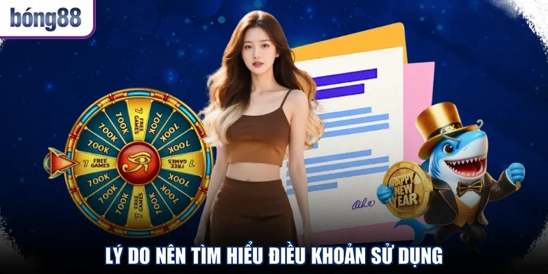 Lý do nên tìm hiểu điều khoản sử dụng