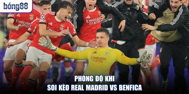 Phong độ khi soi kèo Real Madrid vs Benfica