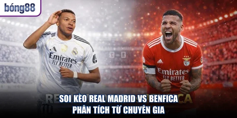 Soi Kèo Real Madrid Vs Benfica - Phân Tích Từ Chuyên Gia