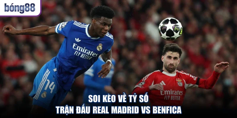 Soi kèo về tỷ số trận đấu Real Madrid vs Benfica
