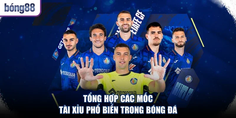 Tổng hợp các mốc tài xỉu phổ biến trong bóng đá